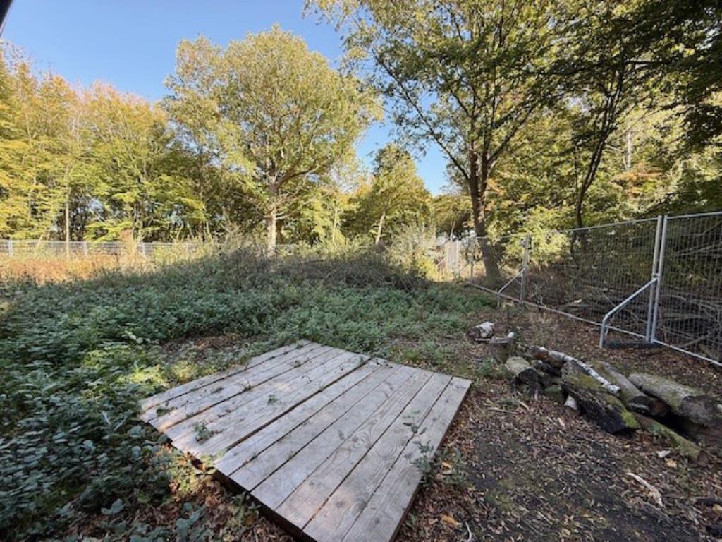 Lot: 48 - WOODLAND AND FORESTRY BUILDING - Back view of further woodland with security fence